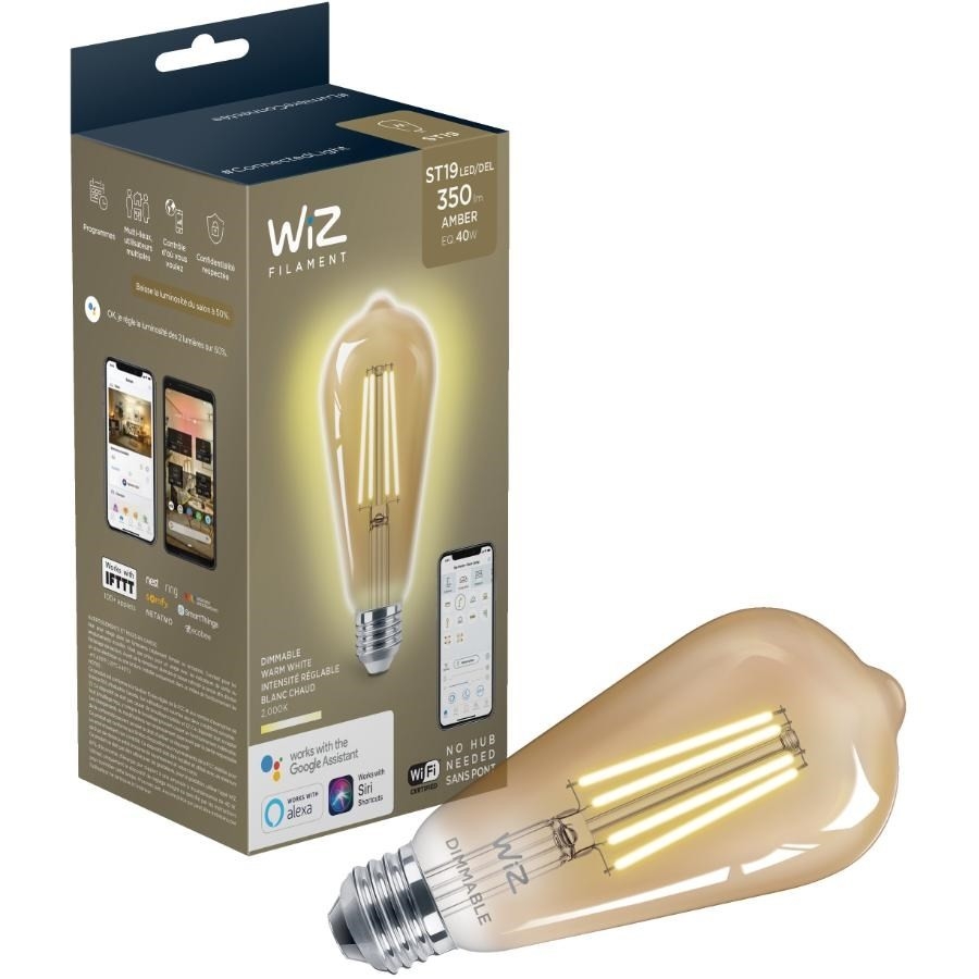 Ampoule rétro à DEL intelligente ST19 de 40W de la collection Wiz à