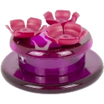 Mangeoire portative de 2 oz pour colibris, pour dessus de table