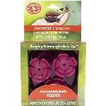 Mangeoire portative de 2 oz pour colibris, pour dessus de table