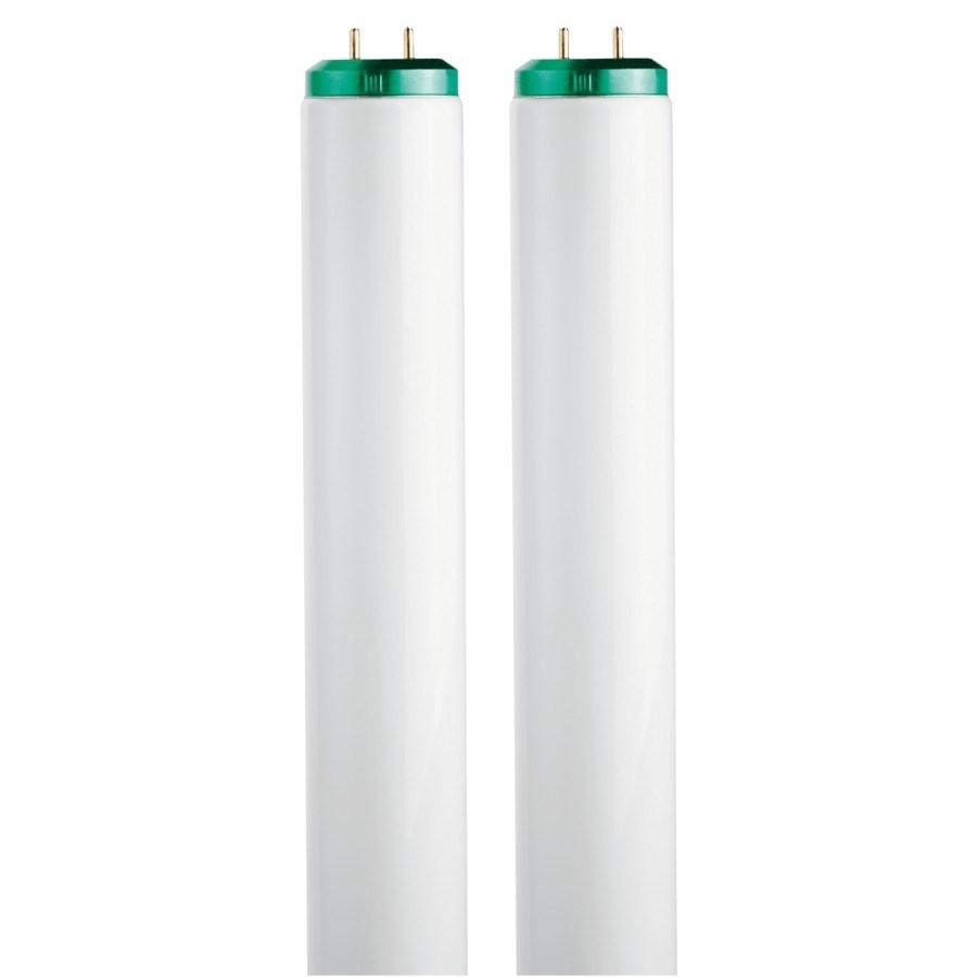 Paquet de 2 lampes fluorescentes T12 de 20 W et 24 po à culot m