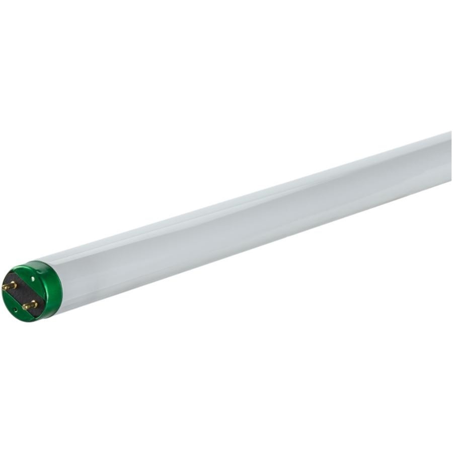 Paquet de 10 lampes fluorescentes T8 de 32 W de 48 po à culot m