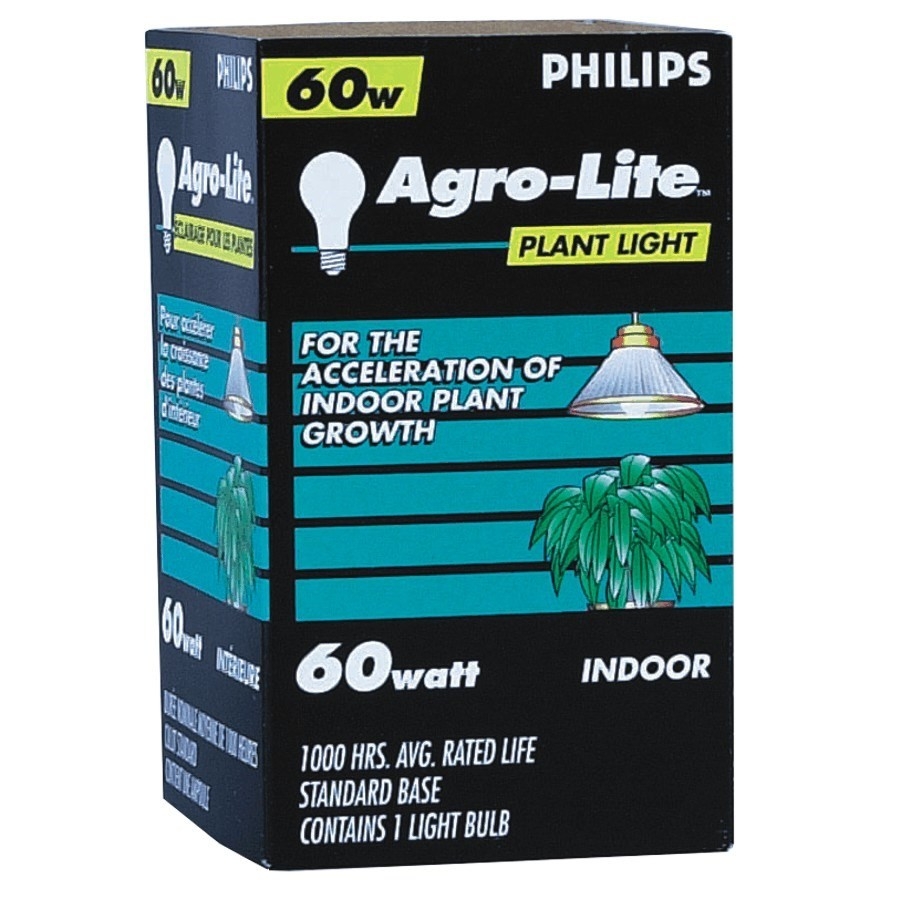 Ampoule Agro-Lite A19 de 60 W à culot moyen, pour plantes