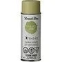 Peinture à base de solvant pour l'intérieur et l'extérieur fini satiné en aérosol, citronnelle, 340 g