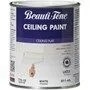 Peinture au latex pour plafond, blanc mat, 911 ml