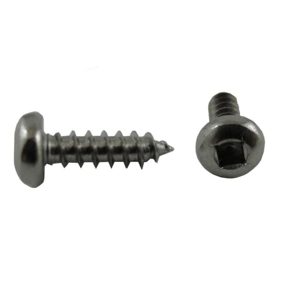 Paquet de 100 vis en acier inoxydable à tête cylindrique creuse, no 6 x 1/2 po