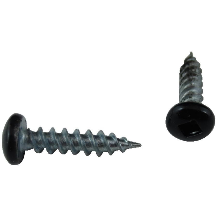Paquet de 12 vis à soffite à tête cylindrique no 8 x 1/2 po, noir
