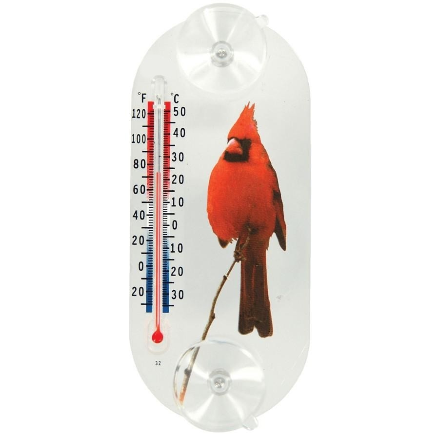 Thermomètre de fenêtre à ventouse, à motif de cardinal rouge