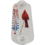 Thermomètre de fenêtre à ventouse, à motif de cardinal rouge