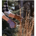 Gants de jardinage en cuir à poignet ouvert aux couleurs variées pour femmes, moyen