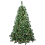 Arbre de Noël de 5,5 pi de style pin écossais, avec 200 lumières transparentes