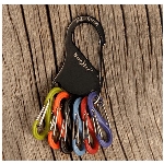 Mousqueton en acier inoxydable KeyRack noir, avec 6 mousquetons en plastique en S