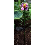 Piquet de jardin solaire avec fleur, motifs variés