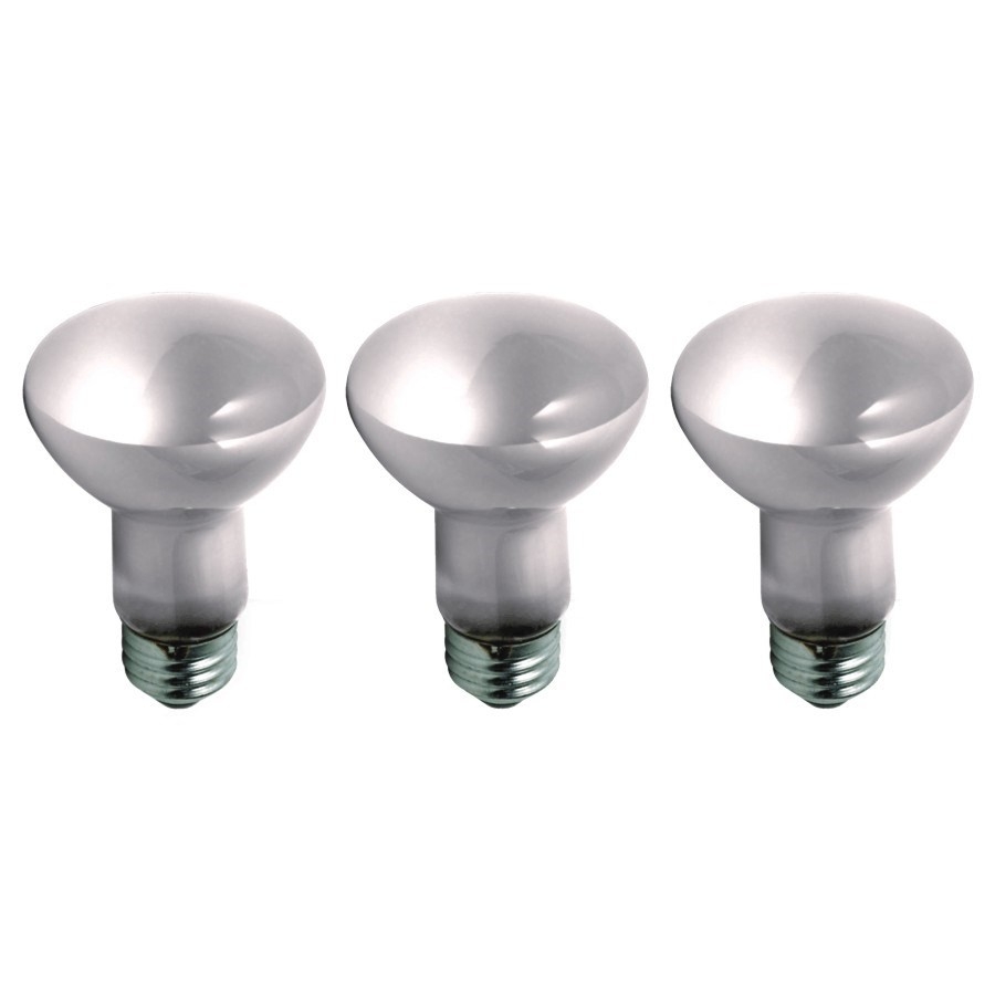paquet-de-3-ampoules-dura-max-r20-de-45-w-culot-moyen-de-longue-dur-e