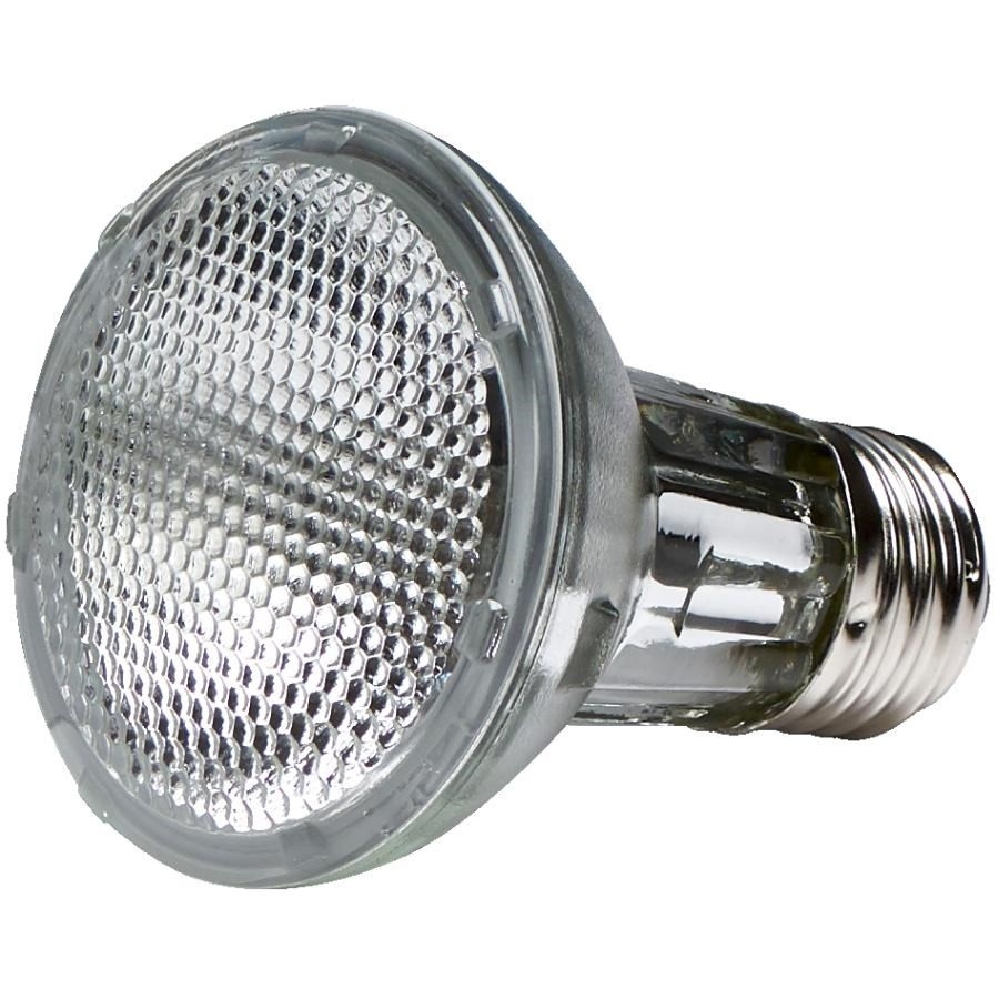 Paquet de 4 ampoules halogène PAR20 de 39 W à intensité variable et à culot moyen