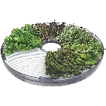 Déshydrateur d'aliments à 5 plateaux