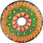 Paquet de 2 plateaux de rechange pour déshydrateur d'aliments