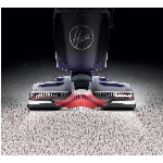 Aspirateur vertical sans sac pour animaux de compagnie Powerdrive