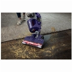Aspirateur vertical sans sac pour animaux de compagnie Powerdrive