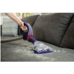 Aspirateur vertical sans sac pour animaux de compagnie Powerdrive