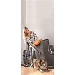 Aspirateur vertical sans sac Power Max Pet