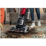 Aspirateur vertical sans sac Endura Max