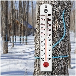 Thermomètre mural de 16 po pour la température intérieure ou extérieure