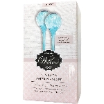 Paquet de 2 globes d'arrosage en verre pour plante