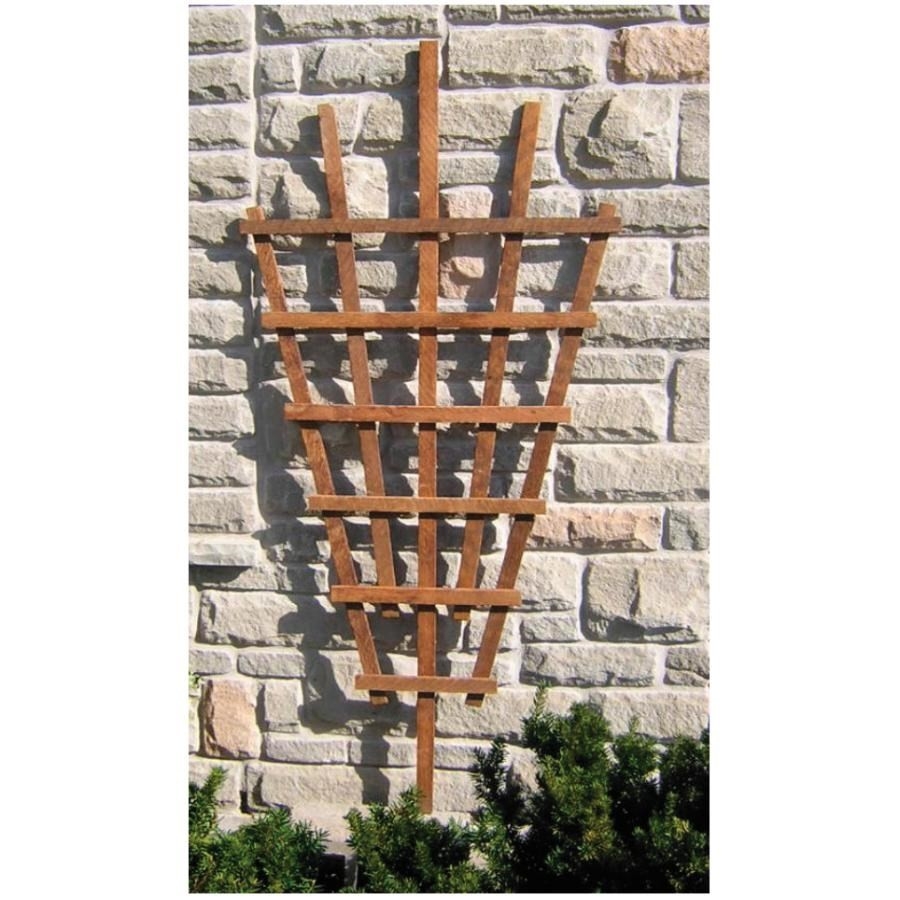 Treillis de jardin en bois en forme d'éventail, 32 po x 6 pi