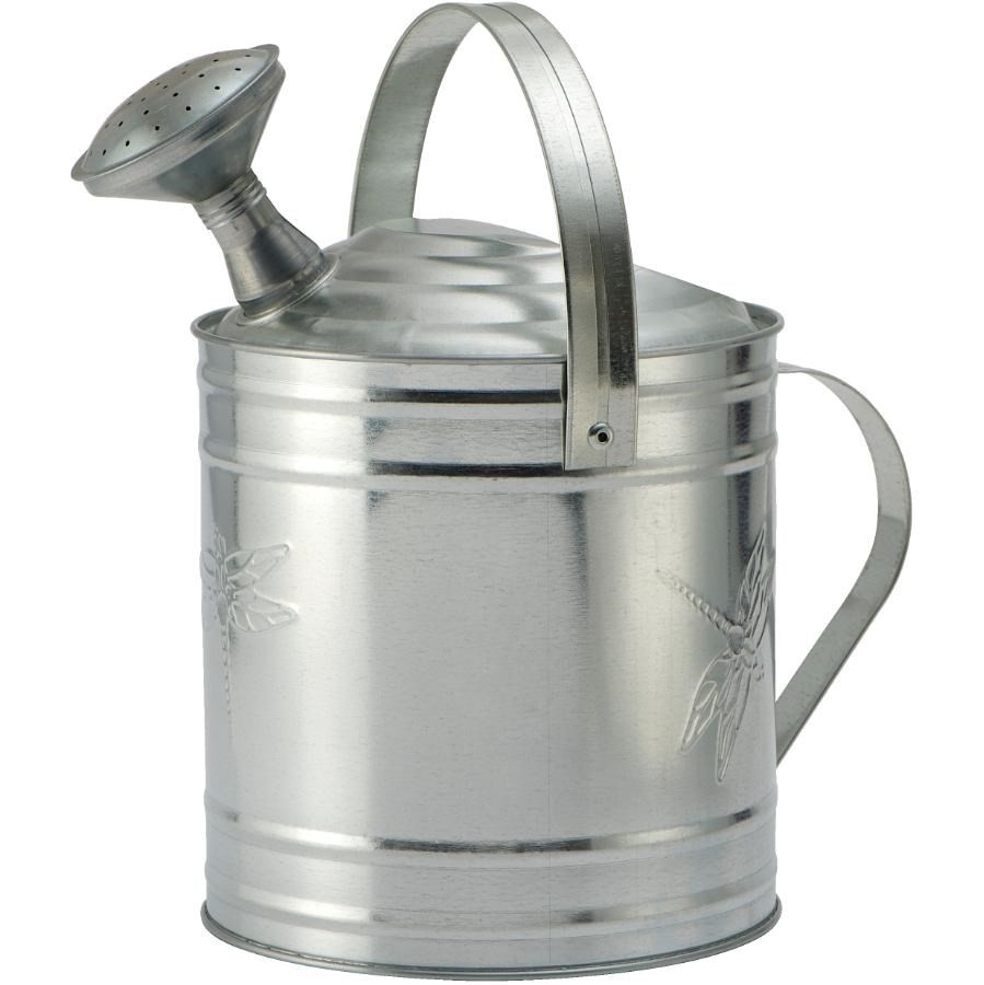 Arrosoir Galvanisé Vintage 5 Litres - Acier Robuste - Pomme Dévissable - Anse En Demi-cœur - Déco Jardin