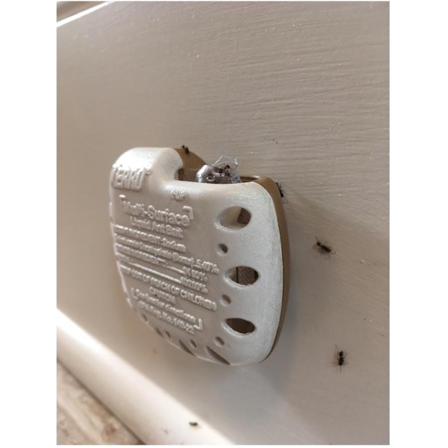 Lot De 4 Appâts Tue-mouches Catch TP18 - Neuf, Pour Piège à Mouches Efficace
