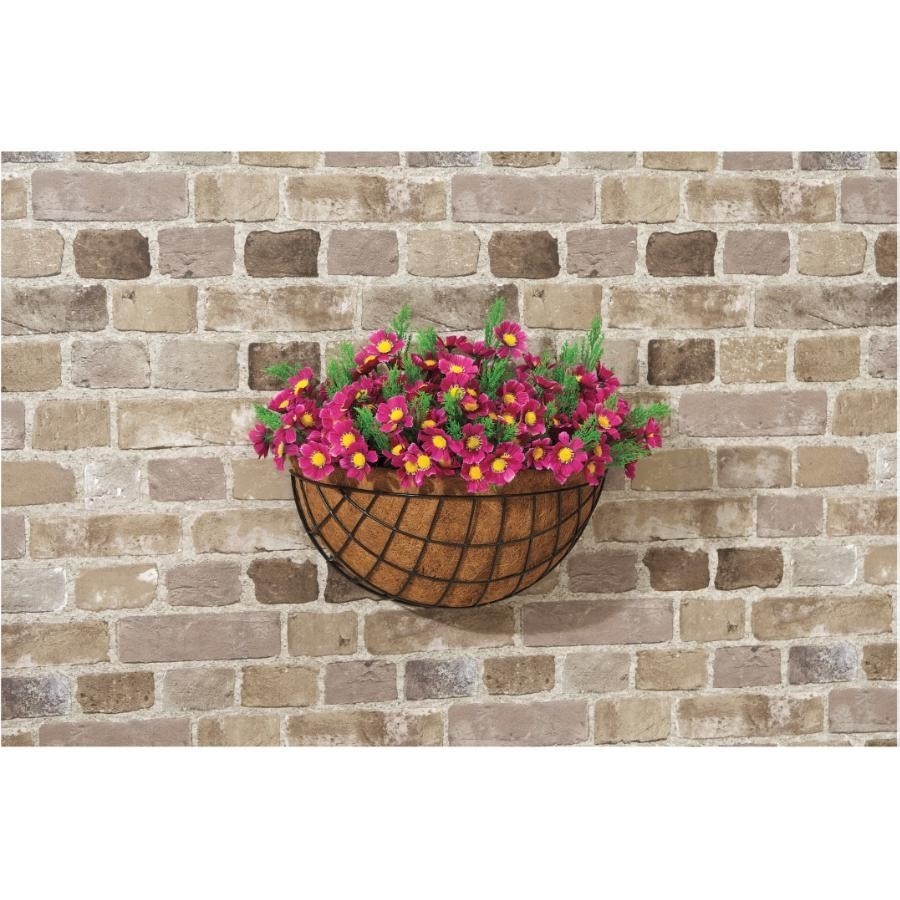 Doublure Fibre De Coco Pour Panier Suspendu - Demi-Sphère, Tailles S/M/L, Naturelle, Pour Jardinière Murale Balcon