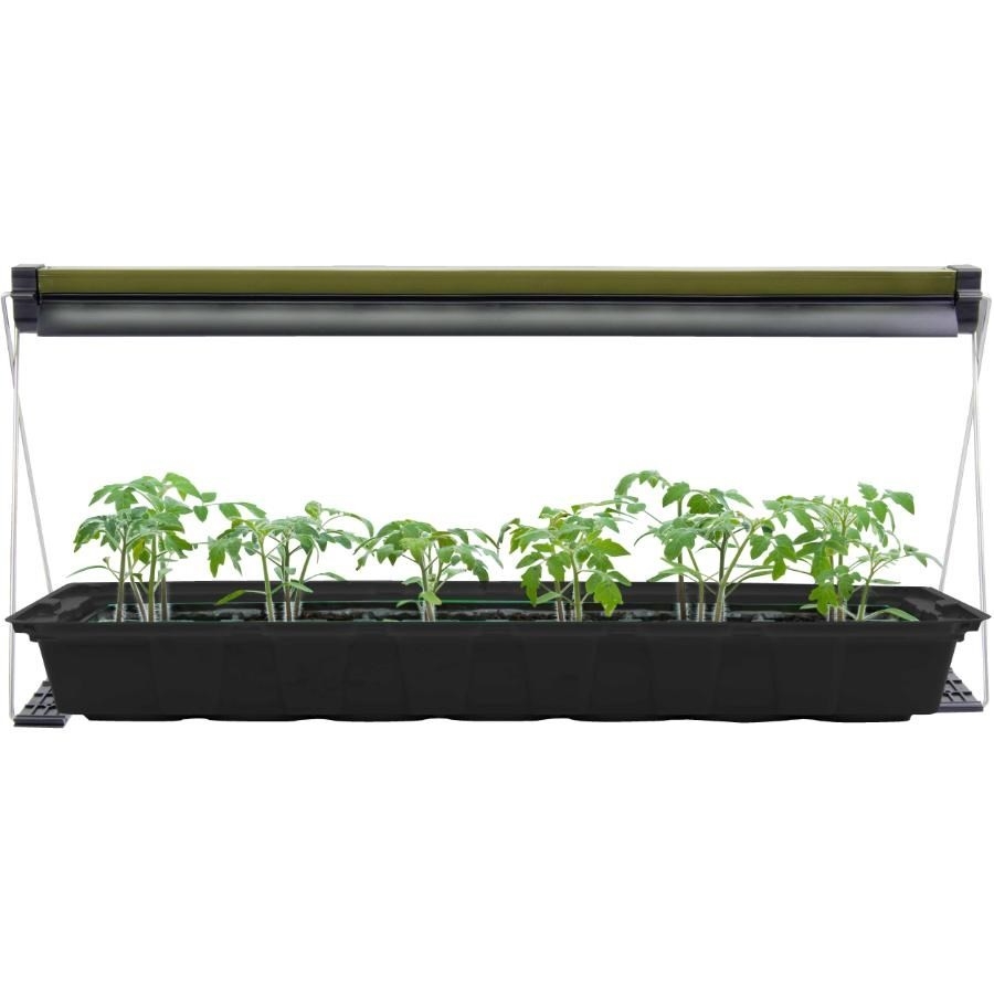 Lot de 50 éponges de plantation pour culture en jardin, cubes de démarrage, bouchons, substrat de culture, laine de roche hydr~0372 - Jardin