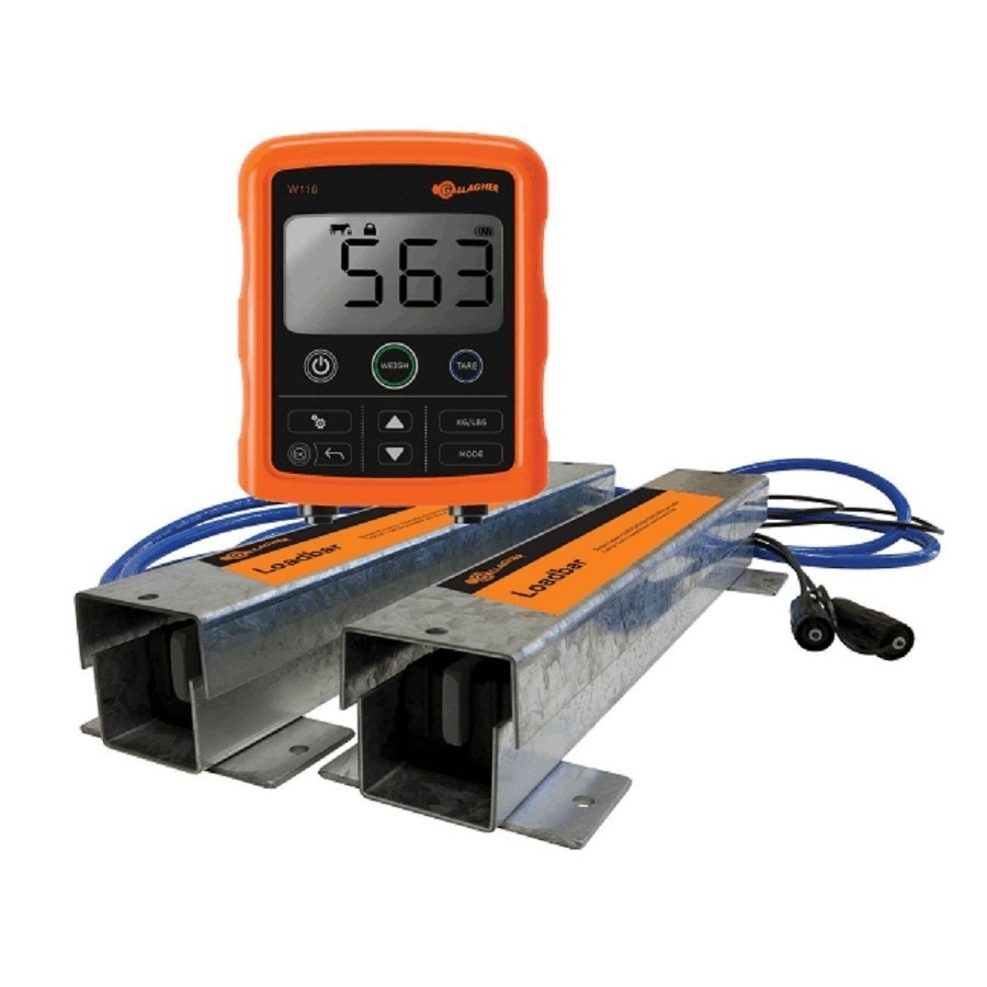 Appareil de pesage numérique avec support et barres de pesée Appareil de pesage numérique avec support et barres de pesée