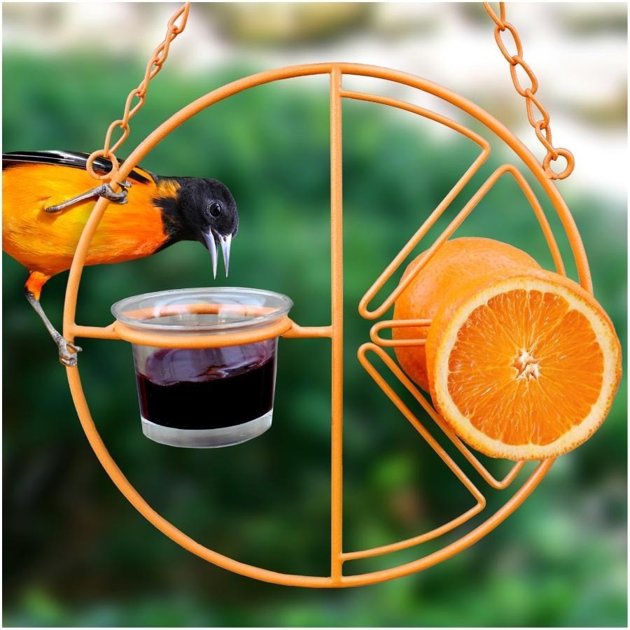 Mangeoire à Orange Double Pour Oriole | Nature Expert