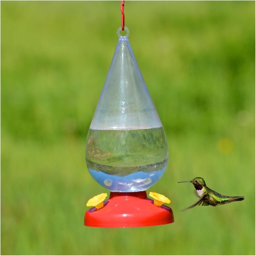 Mangeoire à Colibris Suspendue - 3 Ports, Réservoir Transparent, Crochet Fer | Pour Jardin, Balcon, Attirer Les Oiseaux - 4