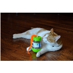 VENTE Distributeur d'herbe à chat et jouet pour chat Turbo Wob