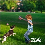 Barres de friandise pour chien, boeuf avec baies et graines de lin, 170 g