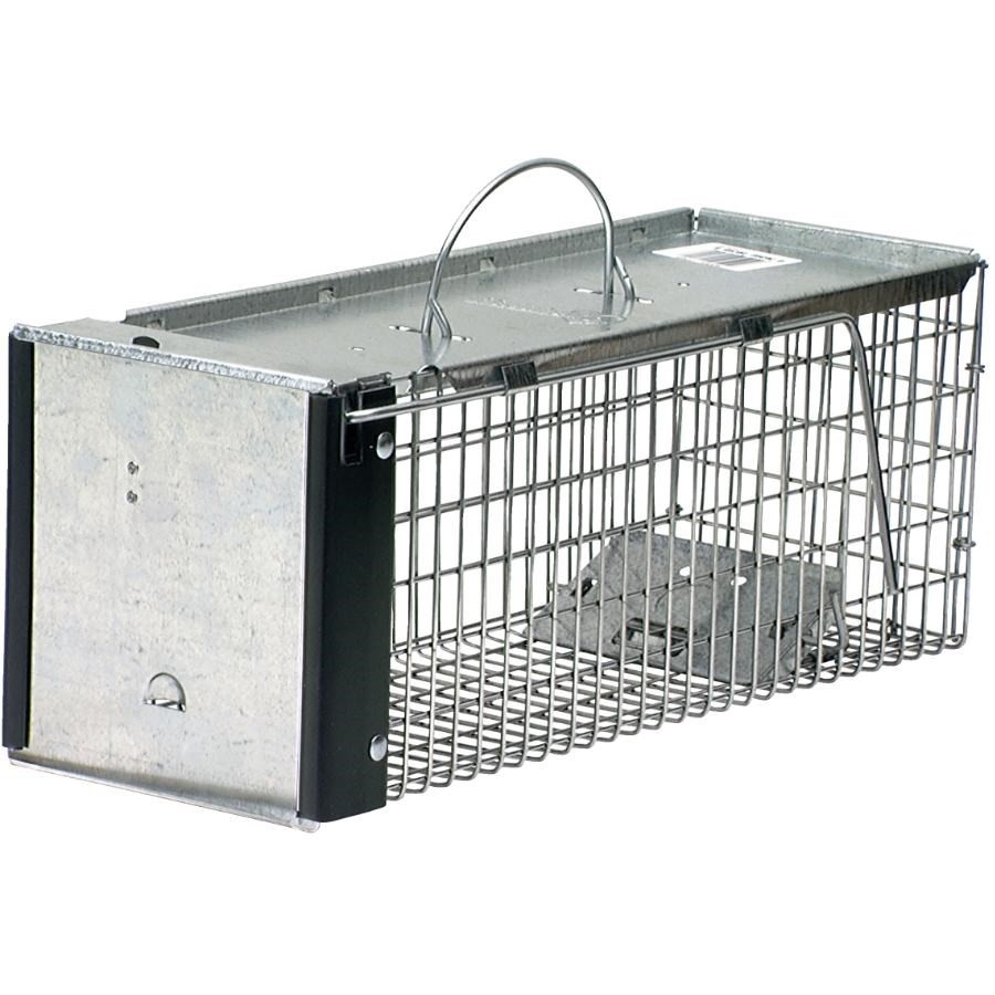 Piège pour animal vivant, 17 po x 6 po x 6 po