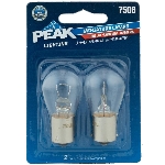 Paquet de 2 mini ampoules de rechange à baïonnette à longue dur